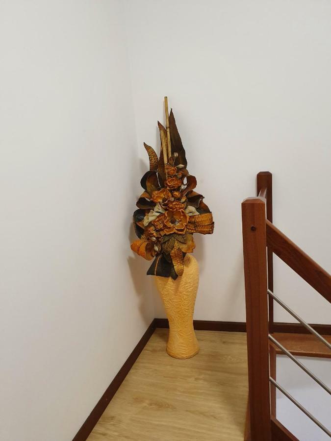 Casa Dos Arcos Appartement Aveiro Buitenkant foto